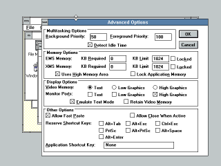 Windows 3.0 PIF editor, advanced settings
