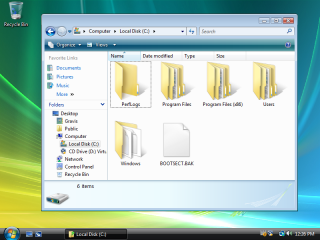 Windows Vista Explorer with tree view