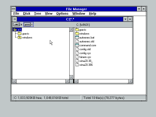 Windows 3.1 File Manager