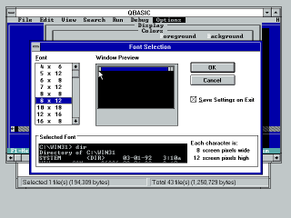 Windows 3.1 permits font selection of DOS windows