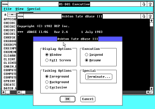 Windows/386 program settings