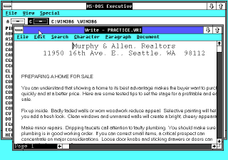 Windows/386 running native app