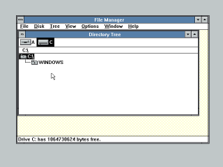 Windows 3.0 File Manager